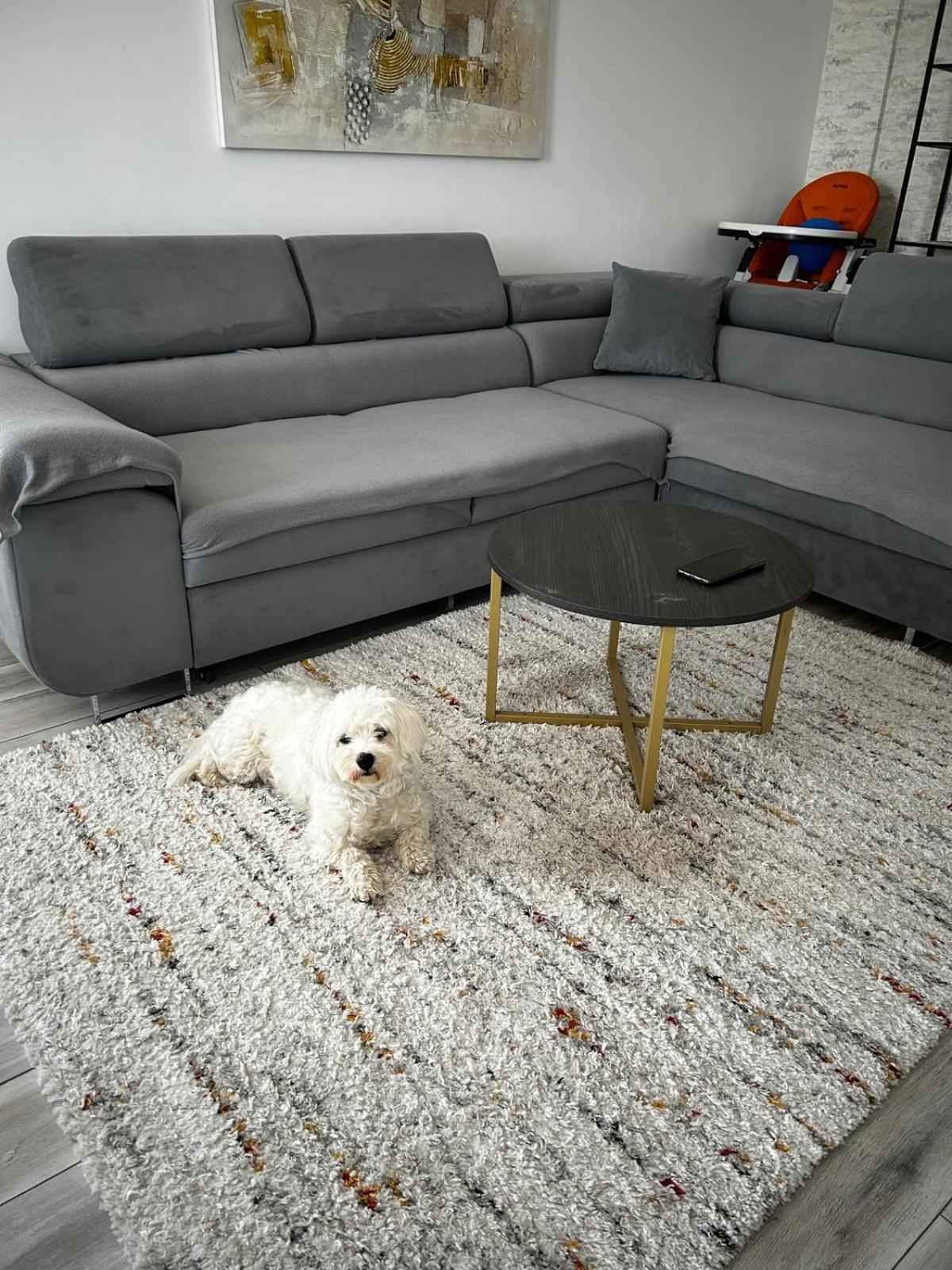 Mabu Apartment Braşov Esterno foto